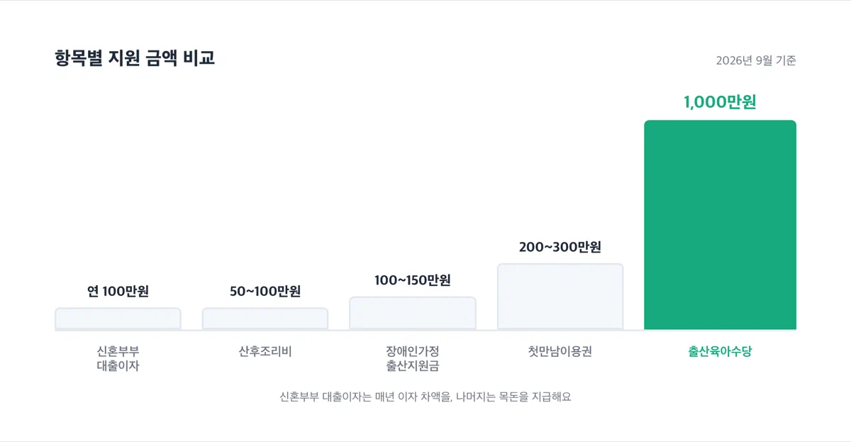 청주시·충청북도 출산 지원금 항목별 금액 비교 그래프