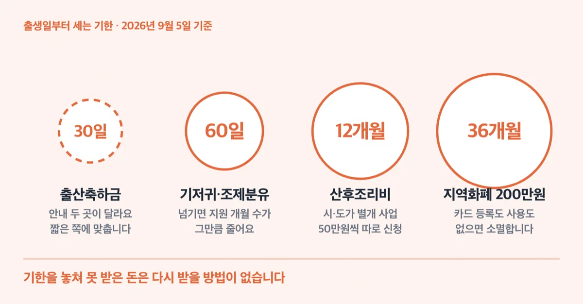 출산축하금·산후조리비·기저귀분유·지역화폐의 신청 및 사용 기한을 모아 경고 형태로 정리한 카드