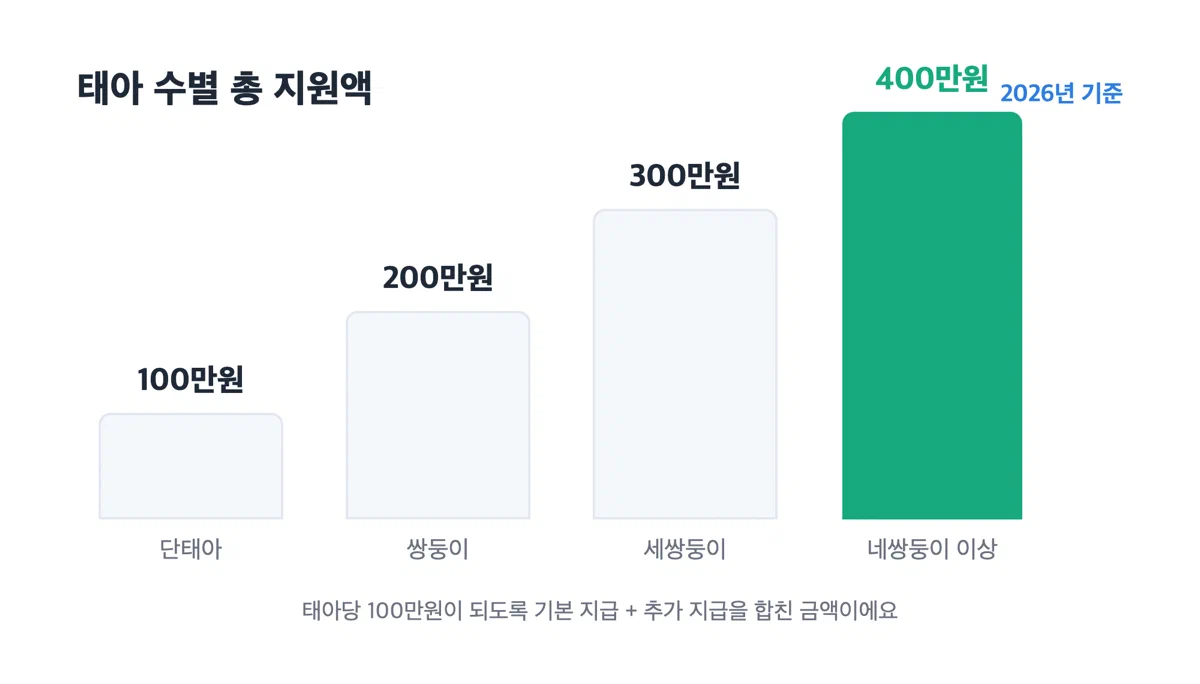 단태아 100만원부터 네쌍둥이 이상 400만원까지 태아 수별 총 지원액을 비교한 막대그래프