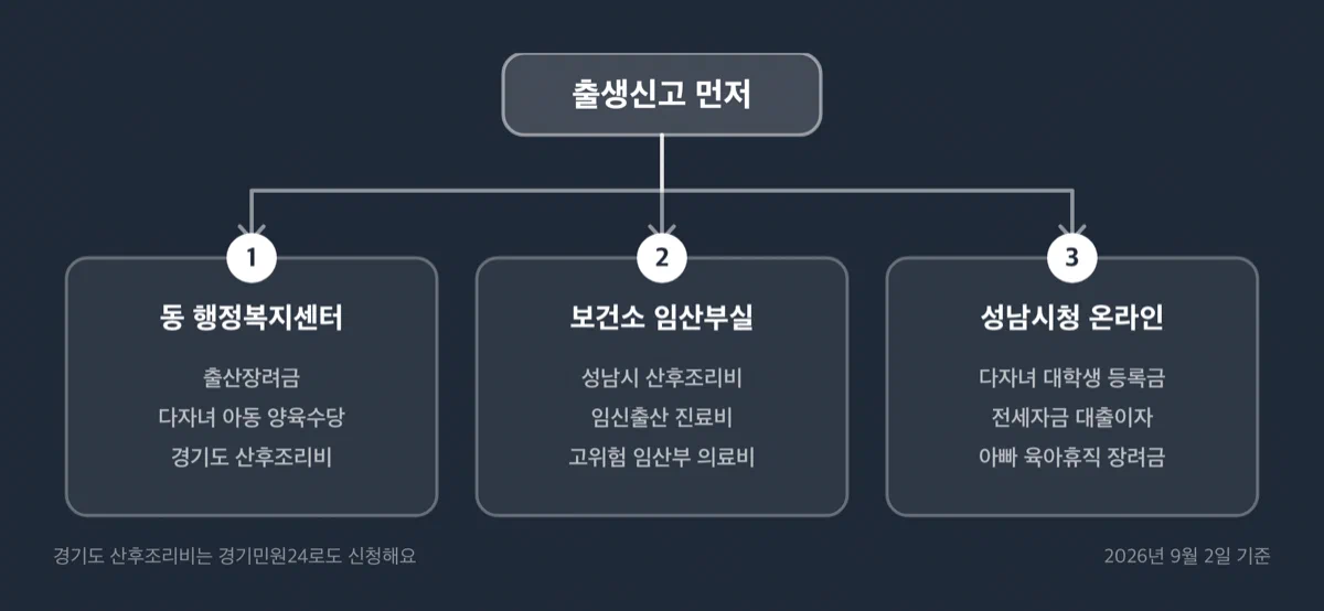 출생신고에서 시작해 동 행정복지센터, 보건소, 성남시청 온라인 신청으로 이어지는 절차 그림