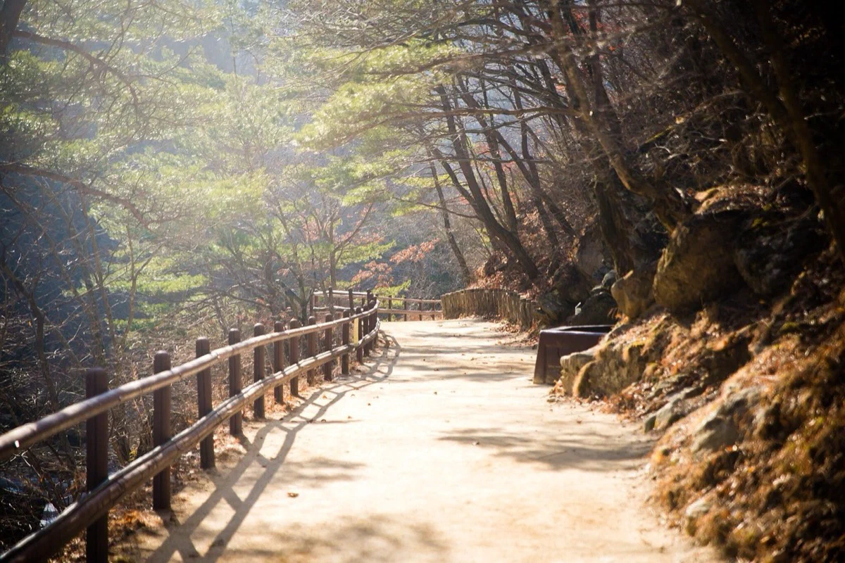 주왕산 주왕계곡의 가을 단풍과 기암 절벽 풍경 사진