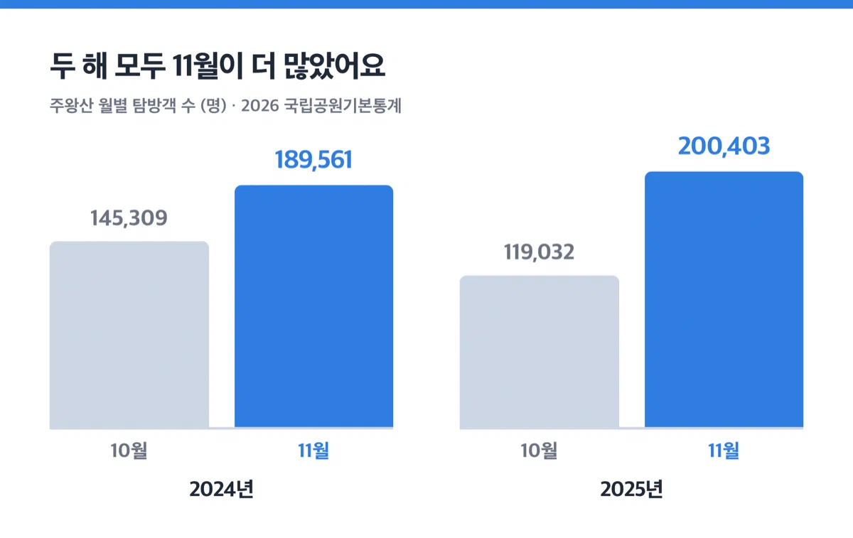 주왕산 10월 11월 탐방객 수를 2024년과 2025년으로 비교한 막대 그래프