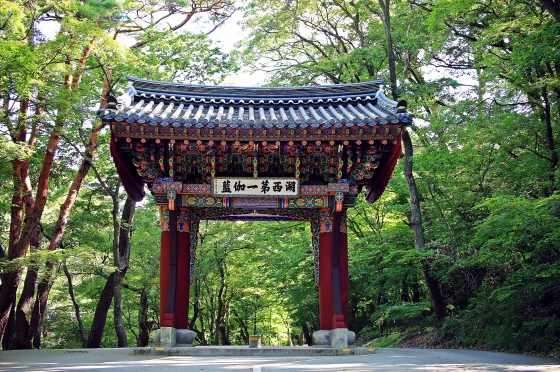 단풍이 든 법주사 오리숲길 숲길 사진